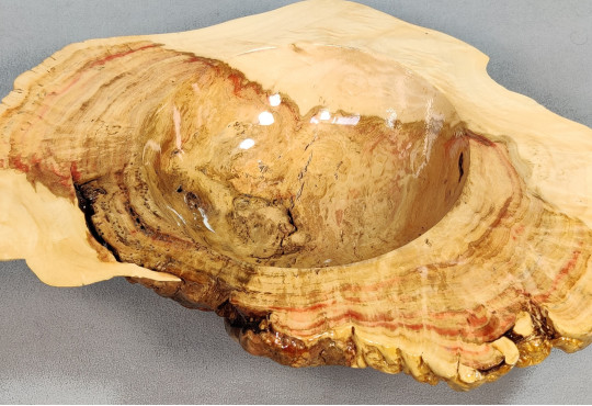 Handmade Wooden Bowl / Maple Burl Wood